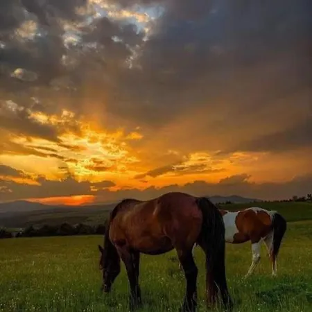 Апартаменты Kalman Royal Златибор