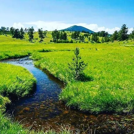 Апартаменты Kalman Royal Златибор