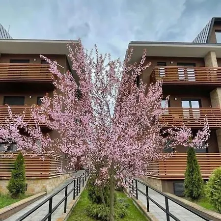 Kalman Royal * Златибор