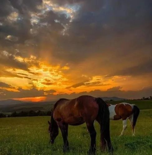 アパート Kalman Royal ズラティボール