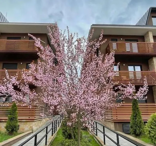 Kalman Royal * ズラティボール