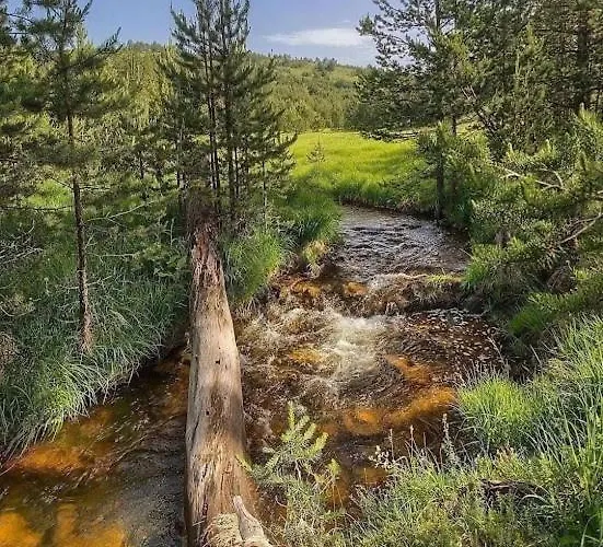 Kalman Royal * ズラティボール